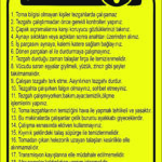 Torna Talimatı